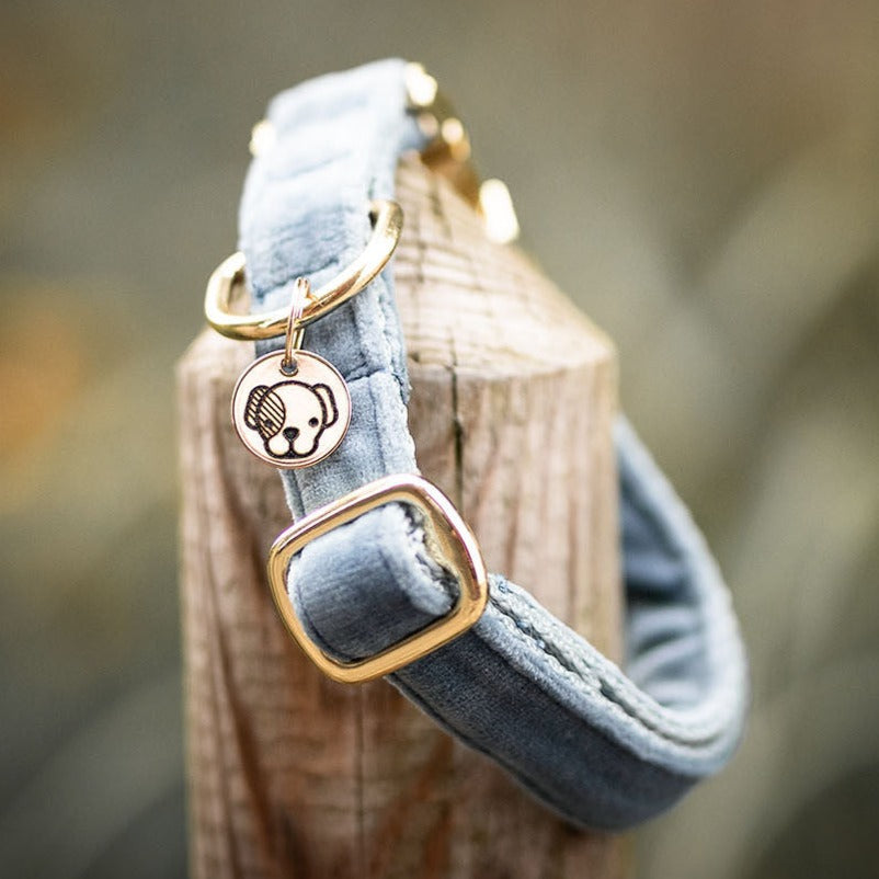Collier pour chien velours bleu clair