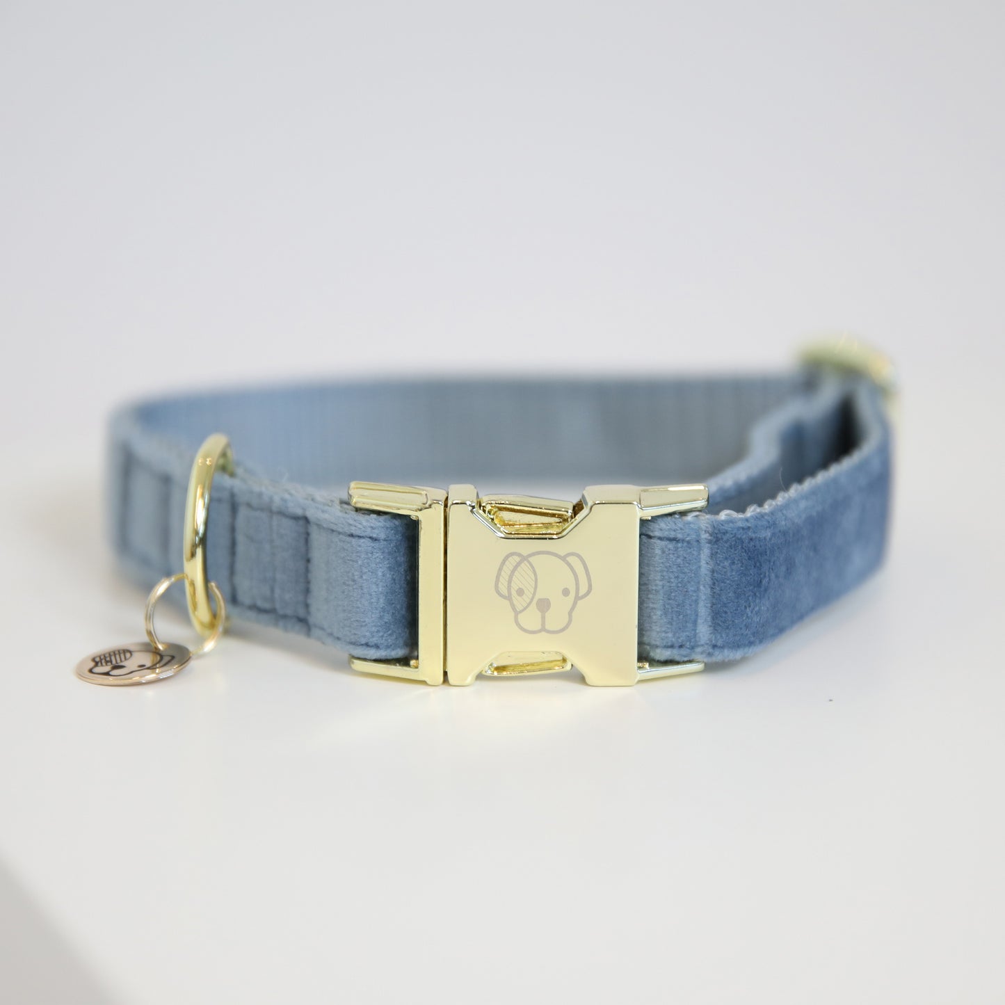 Collier pour chien velours bleu clair