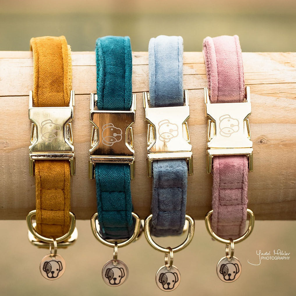 Collier pour chien velours bleu clair