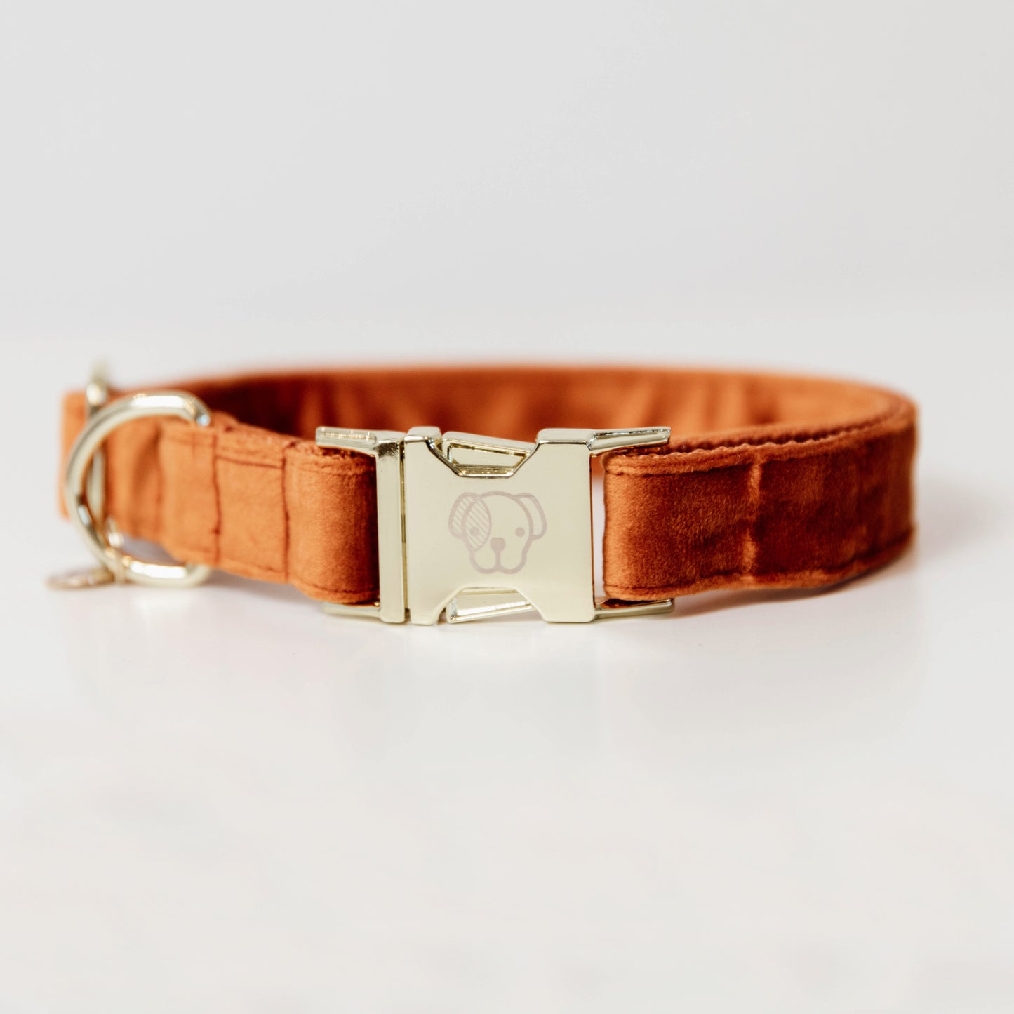 Collier pour chien velours orange