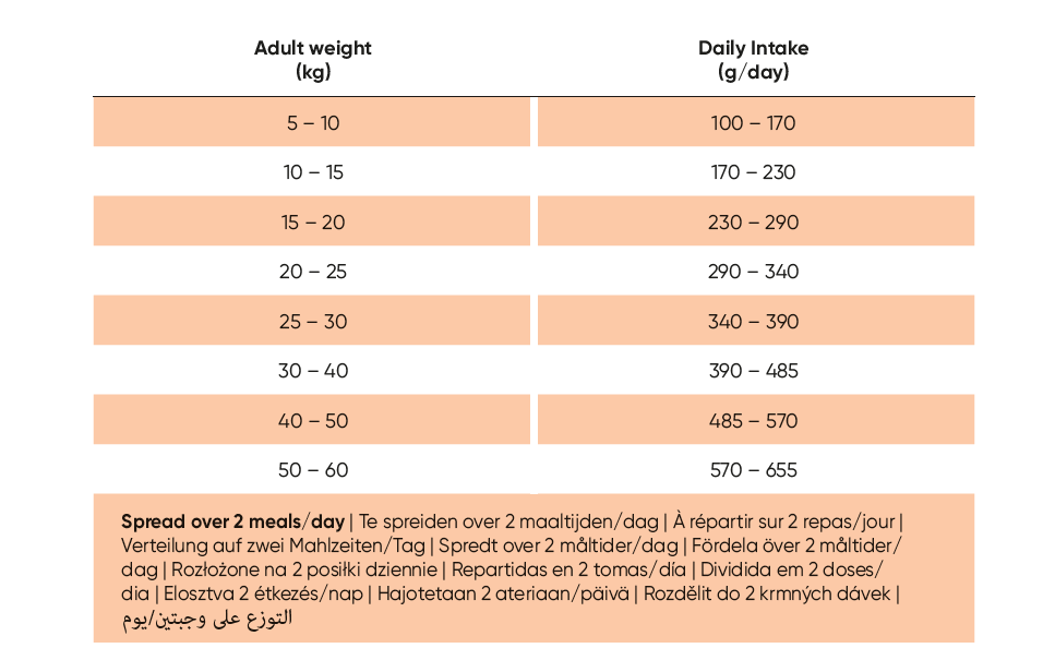 Croquettes chien DIGEST - digestion difficile - ARION CARE - 2kg Fabuldog