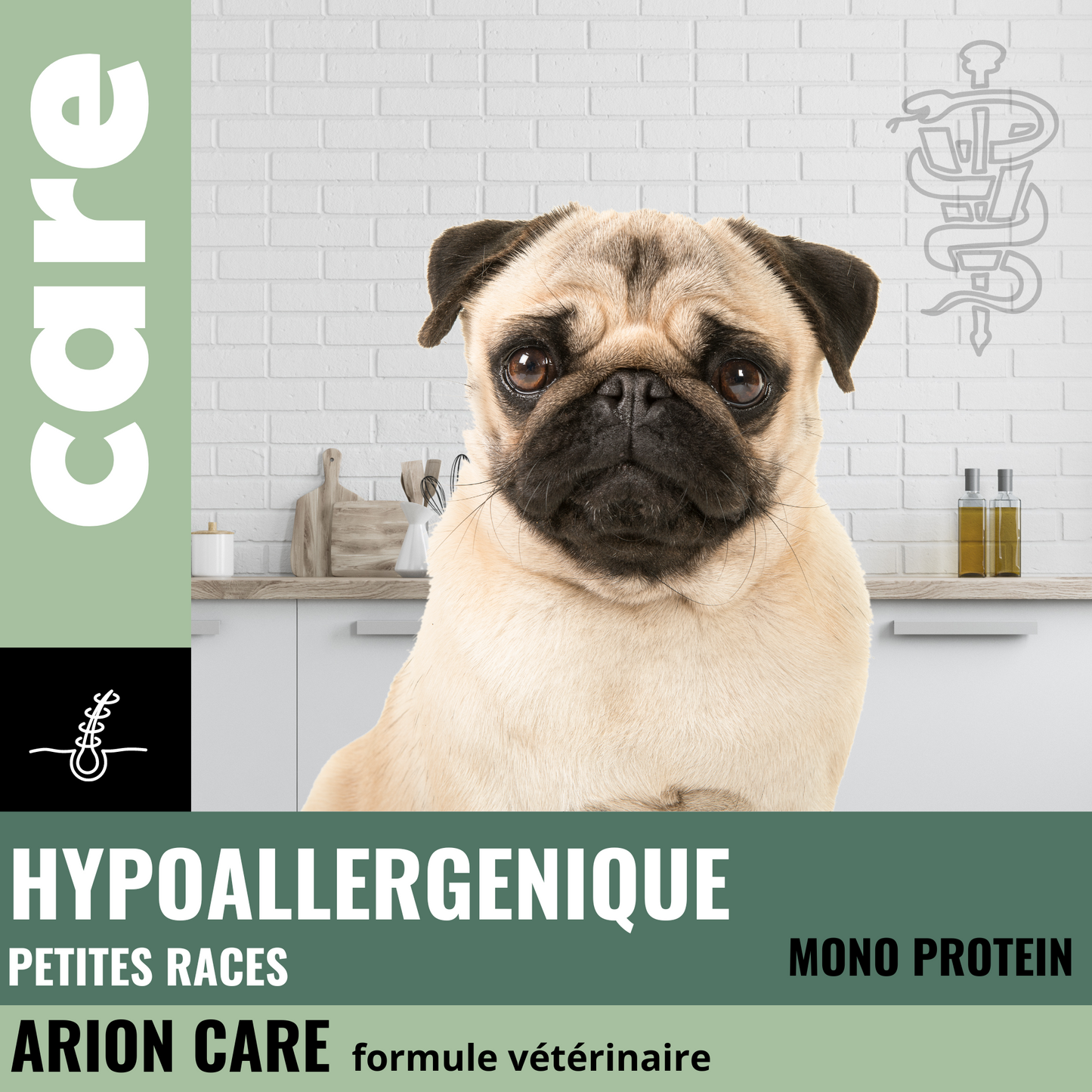 Croquettes chien HYPOALLERGENIC Petite races - problème peau - ARION CARE - 2kg Fabuldog