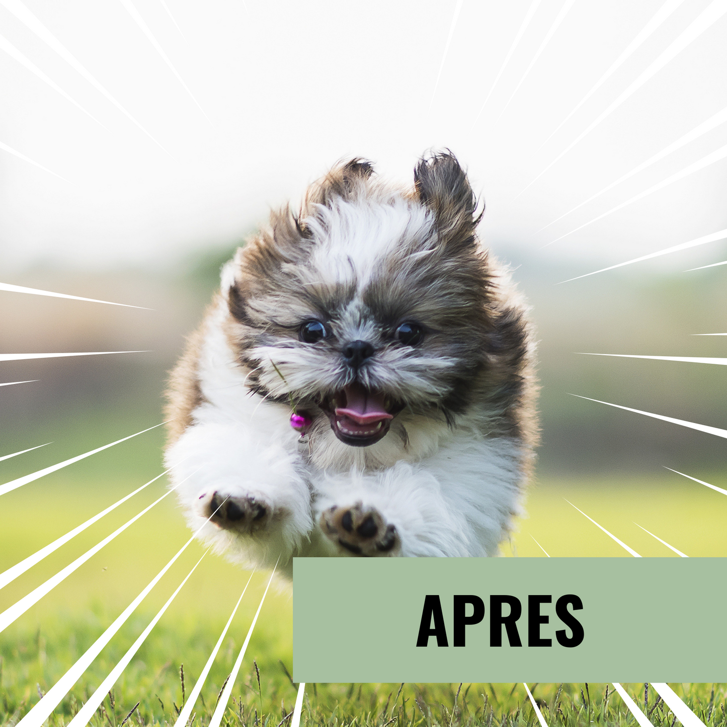 Croquettes chien HYPOALLERGENIC Petite races - problème peau - ARION CARE - 2kg Fabuldog