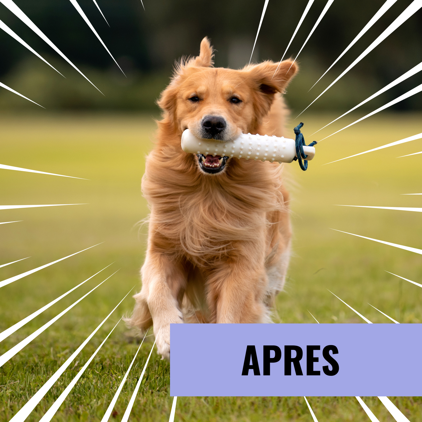 Croquettes chien JOINT - soutien articulation ARION CARE - 12kg Fabuldog