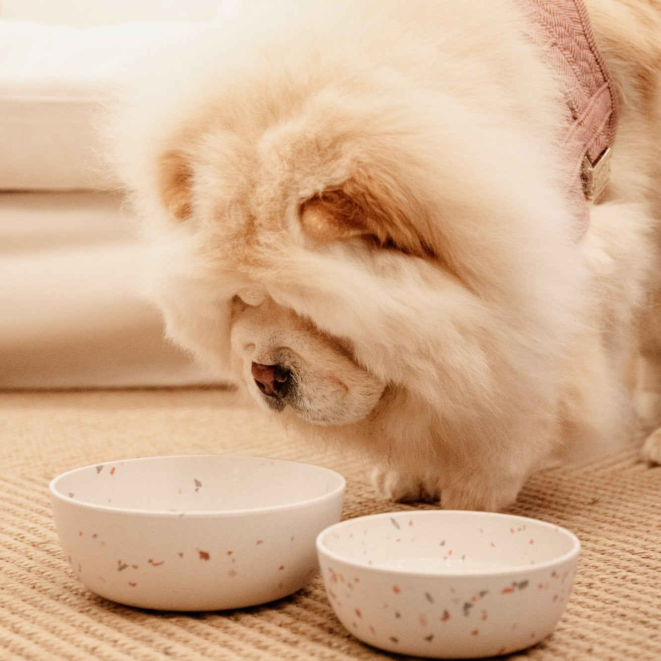 Gamelle chien bamboo terrazzo blanc Fabuldog