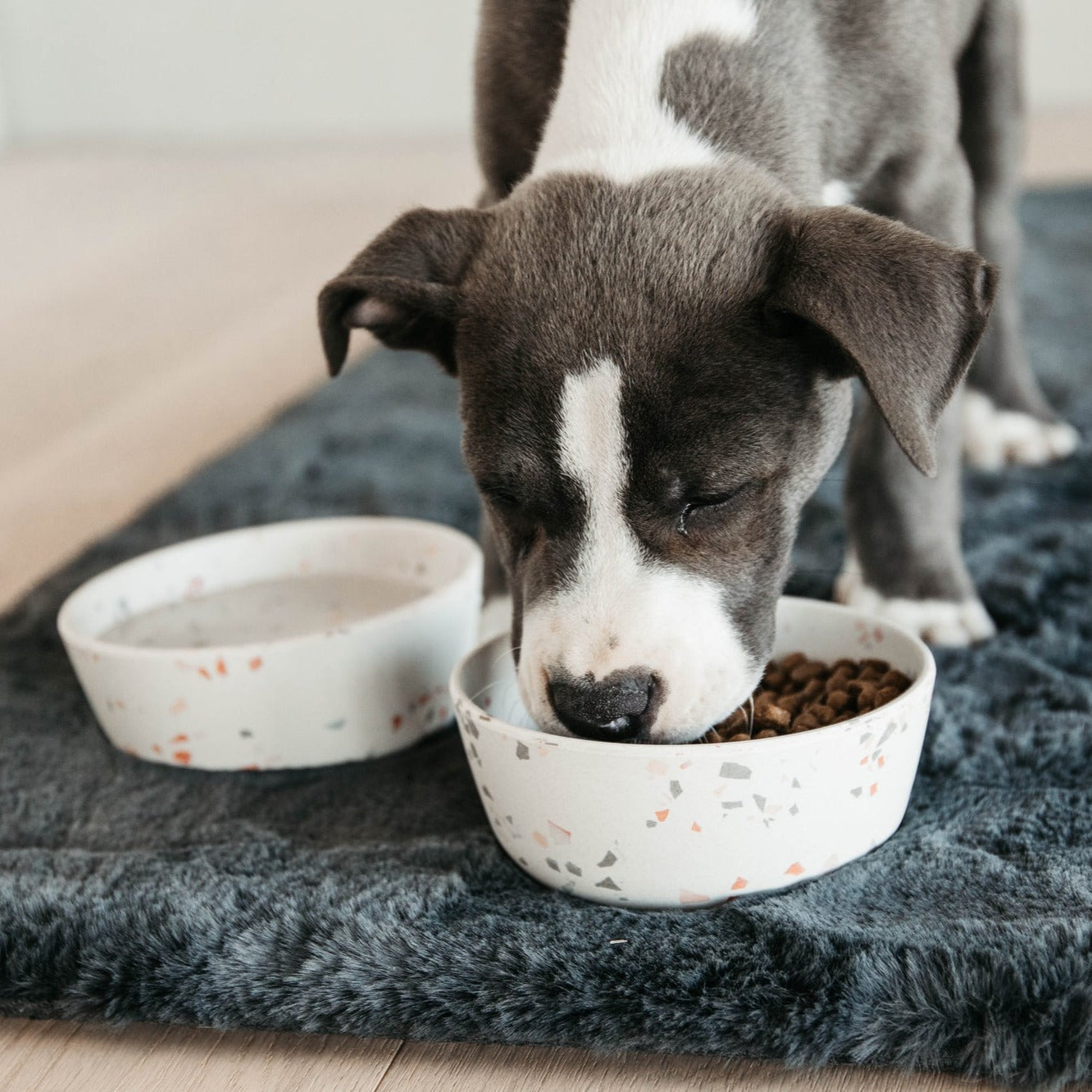 Gamelle chien bamboo terrazzo blanc Fabuldog