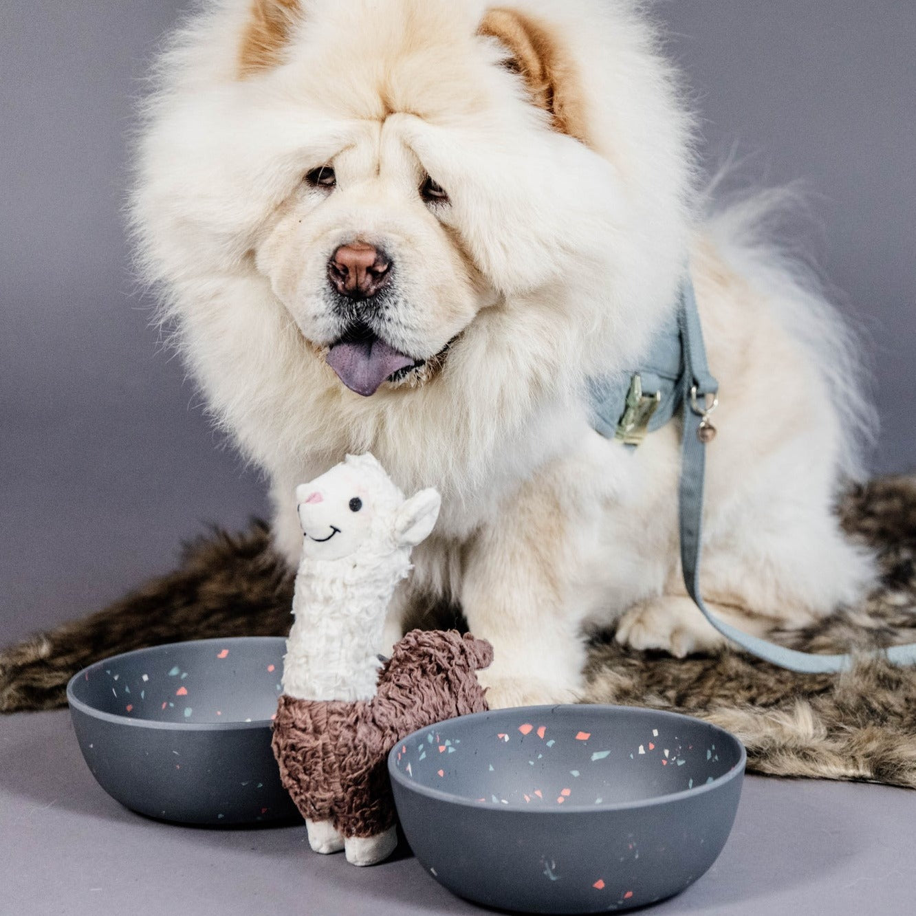Gamelle chien bamboo terrazzo gris Fabuldog