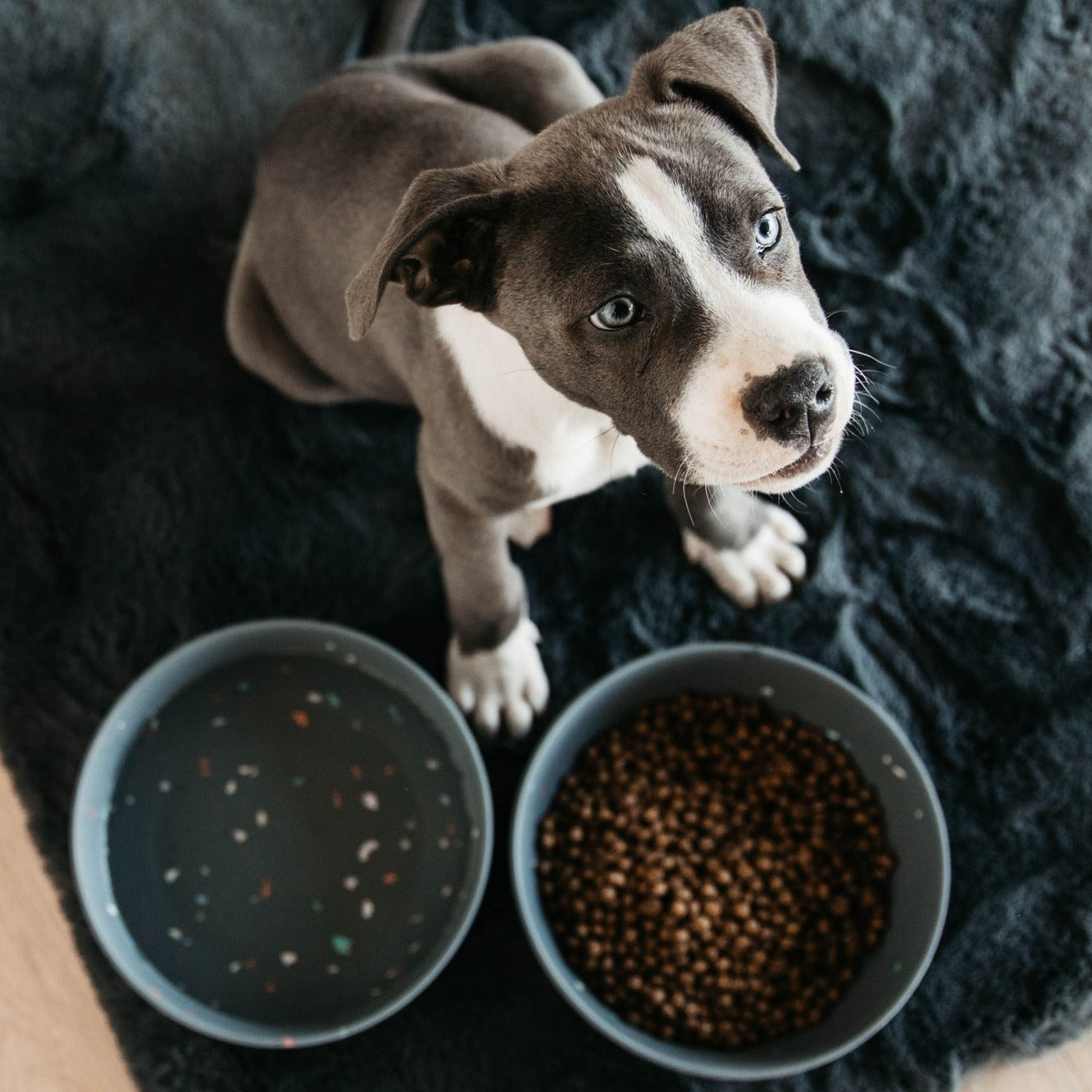 Gamelle chien bamboo terrazzo gris Fabuldog