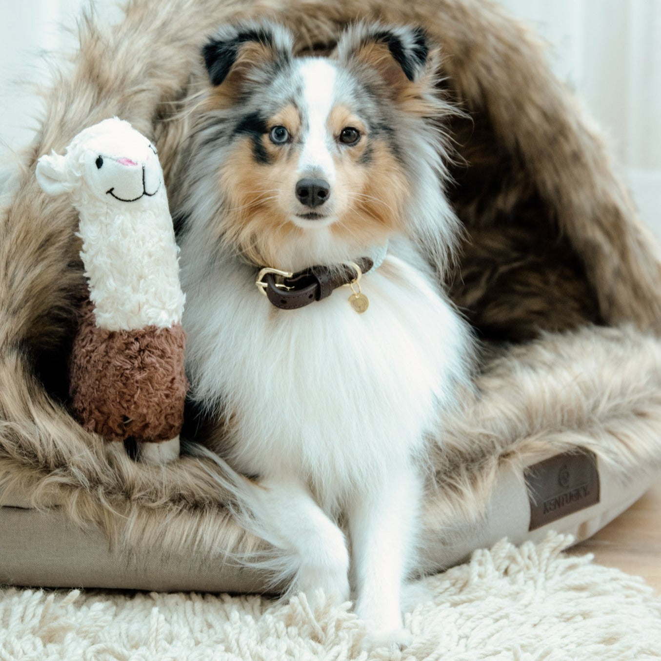Jouet pour chien Alfredo alpaca Fabuldog