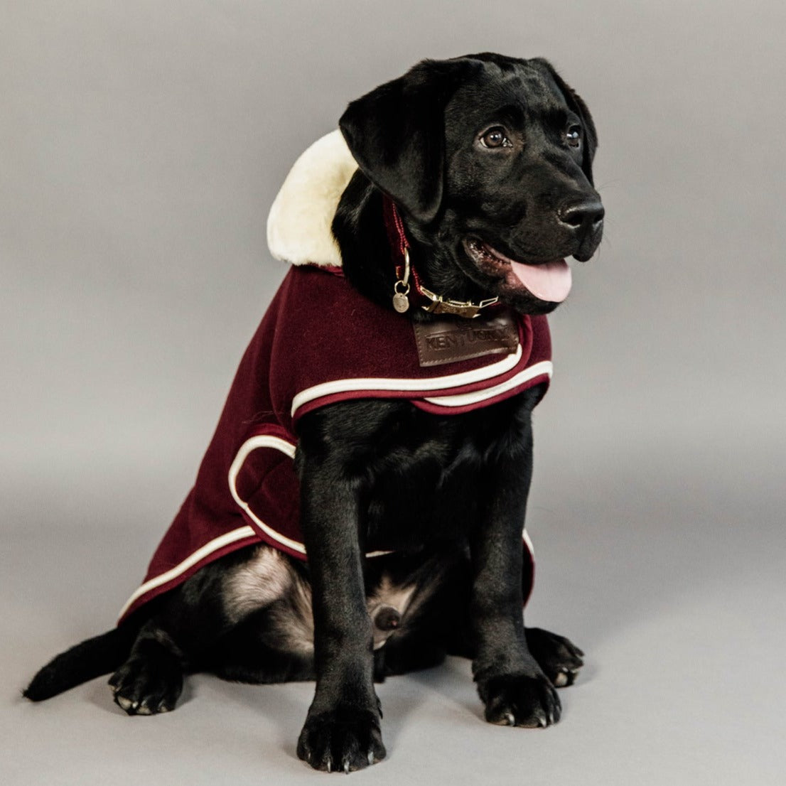 Manteau chien polaire épaisse bordeaux Fabuldog