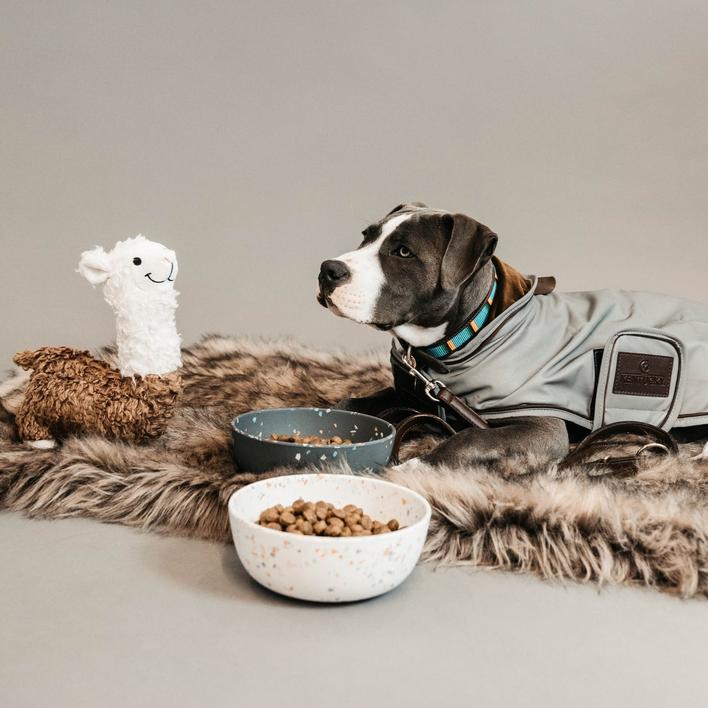 Manteau imperméable chien réflechissant façon trench coat Fabuldog