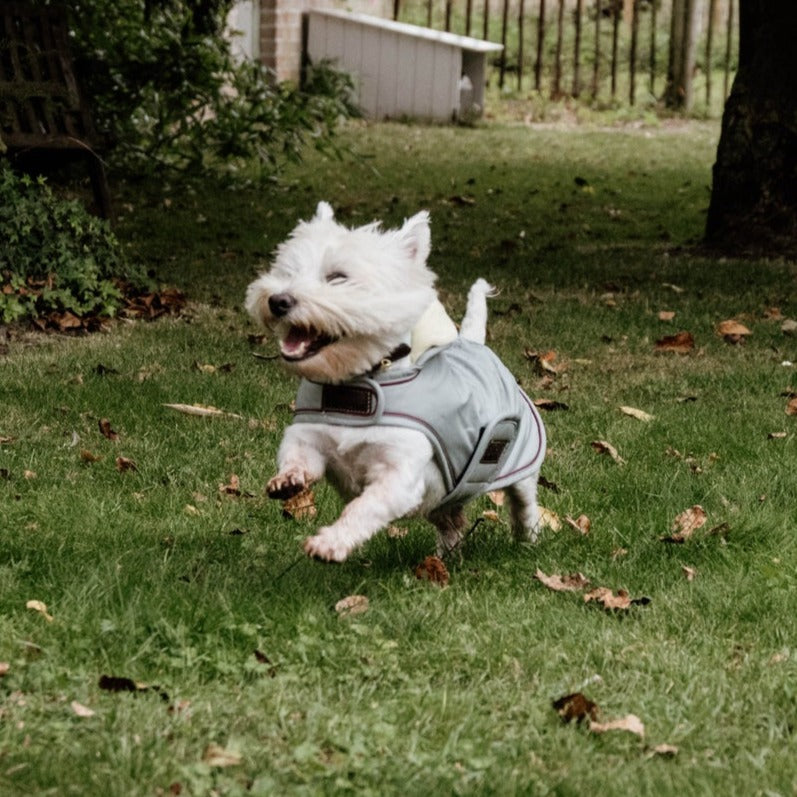 Manteau imperméable chien réflechissant façon trench coat Fabuldog