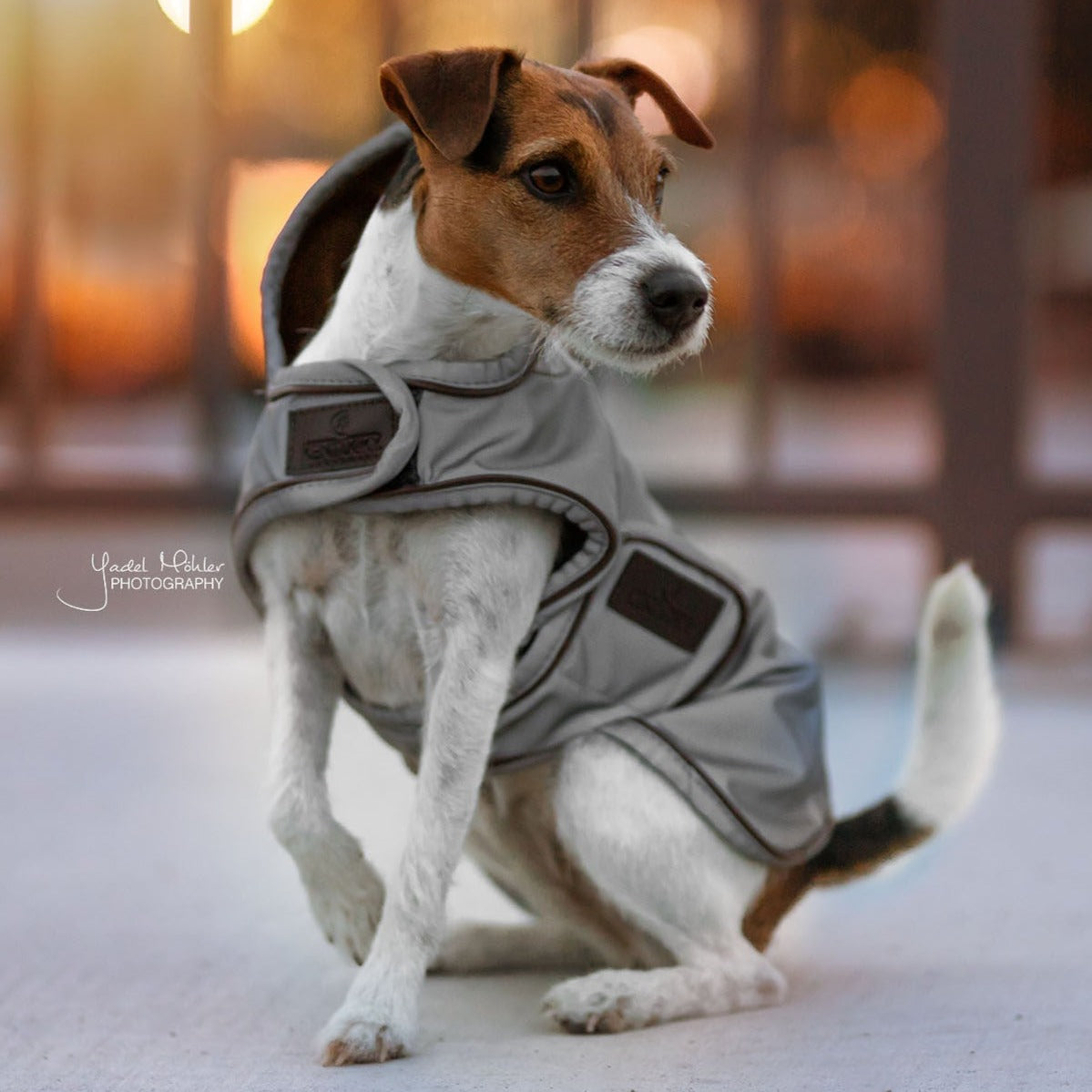 Manteau imperméable chien réflechissant façon trench coat Fabuldog