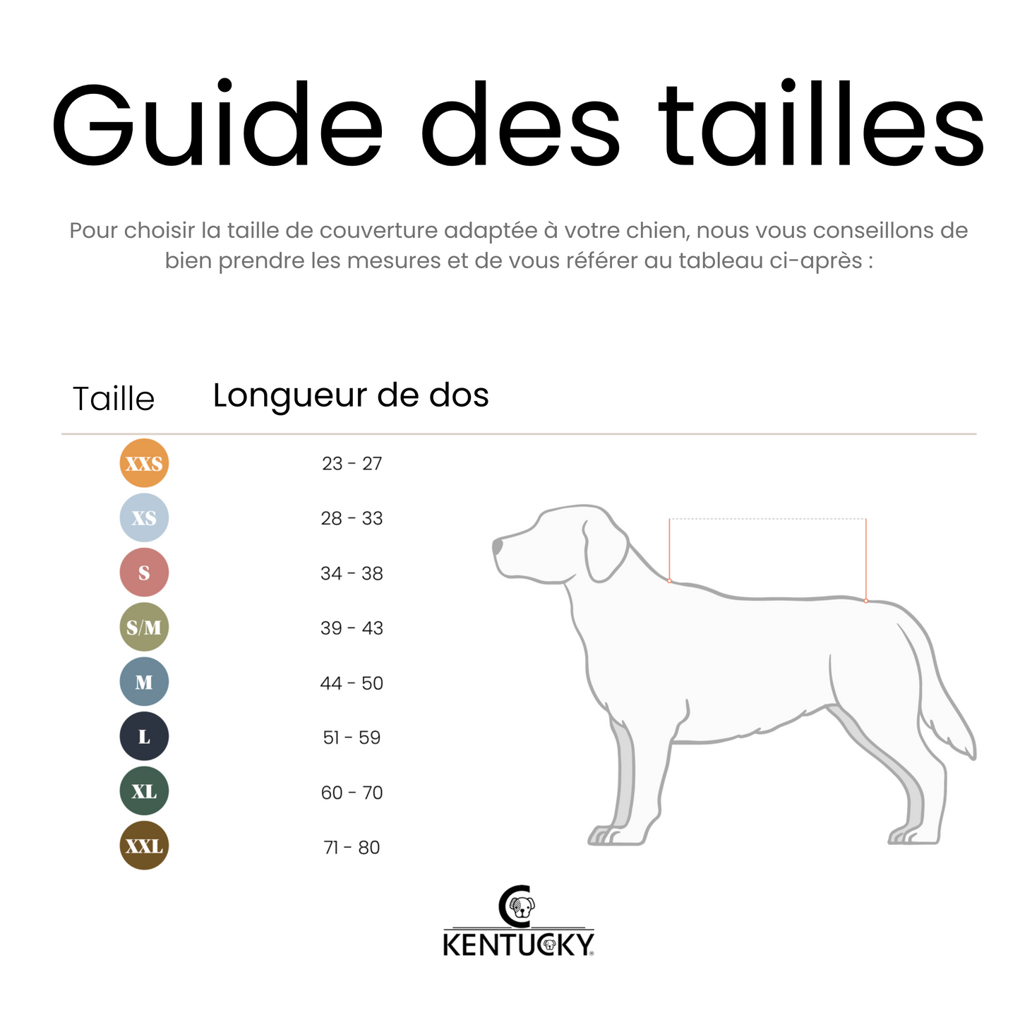 Manteau imperméable chien réflechissant façon trench coat Fabuldog