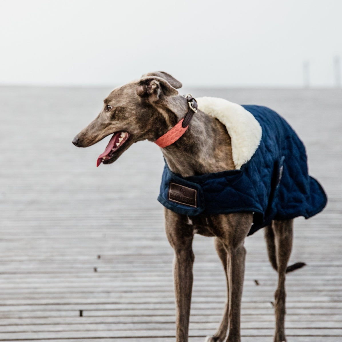 Manteau pour chien matelassé chic Bleu Marine Fabuldog