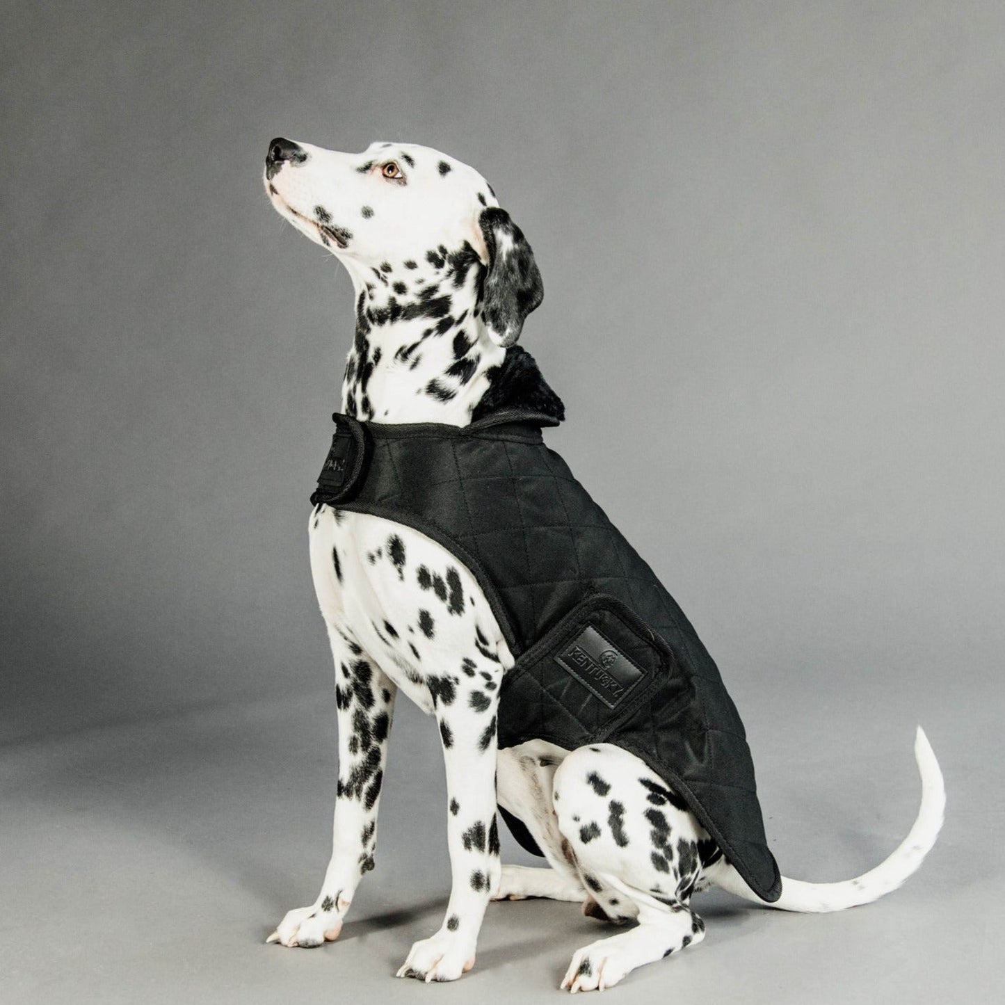 Manteau pour chien matelassé chic Noir Fabuldog