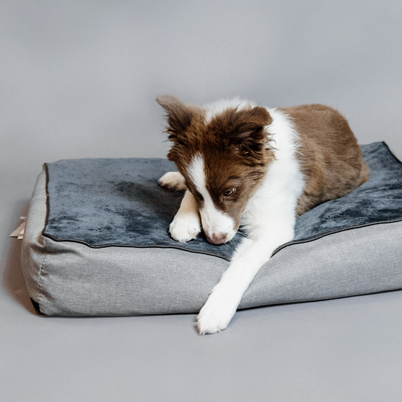 Matelas pour chien soft pillow Fabuldog
