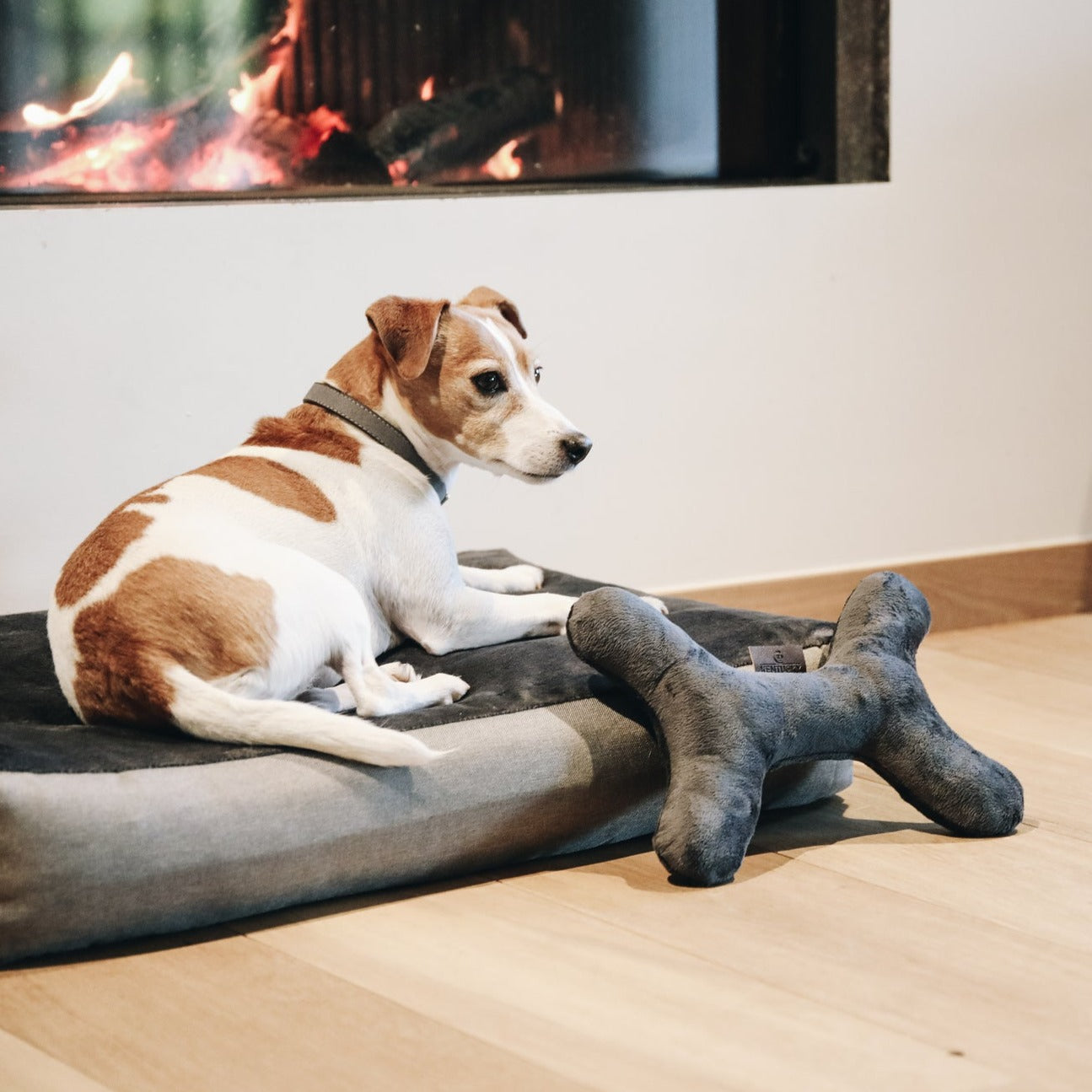 Matelas pour chien soft pillow Fabuldog