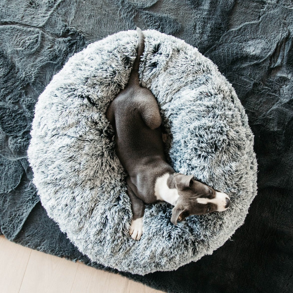 Panier chien donuts apaisant gris Fabuldog