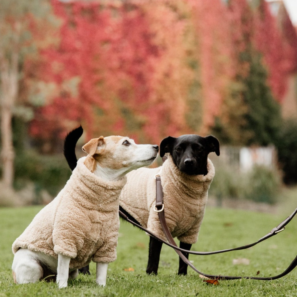 Pull pour chien Teddy Fleece Beige Fabuldog