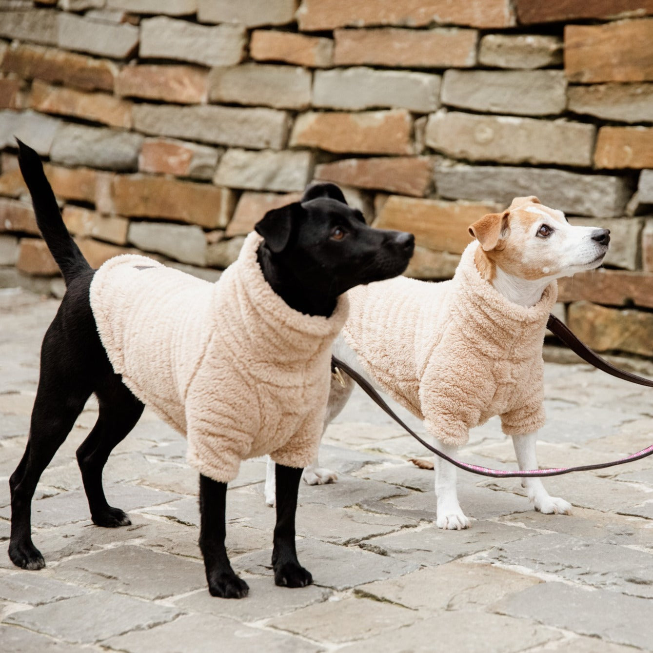 Pull pour chien Teddy Fleece Beige Fabuldog
