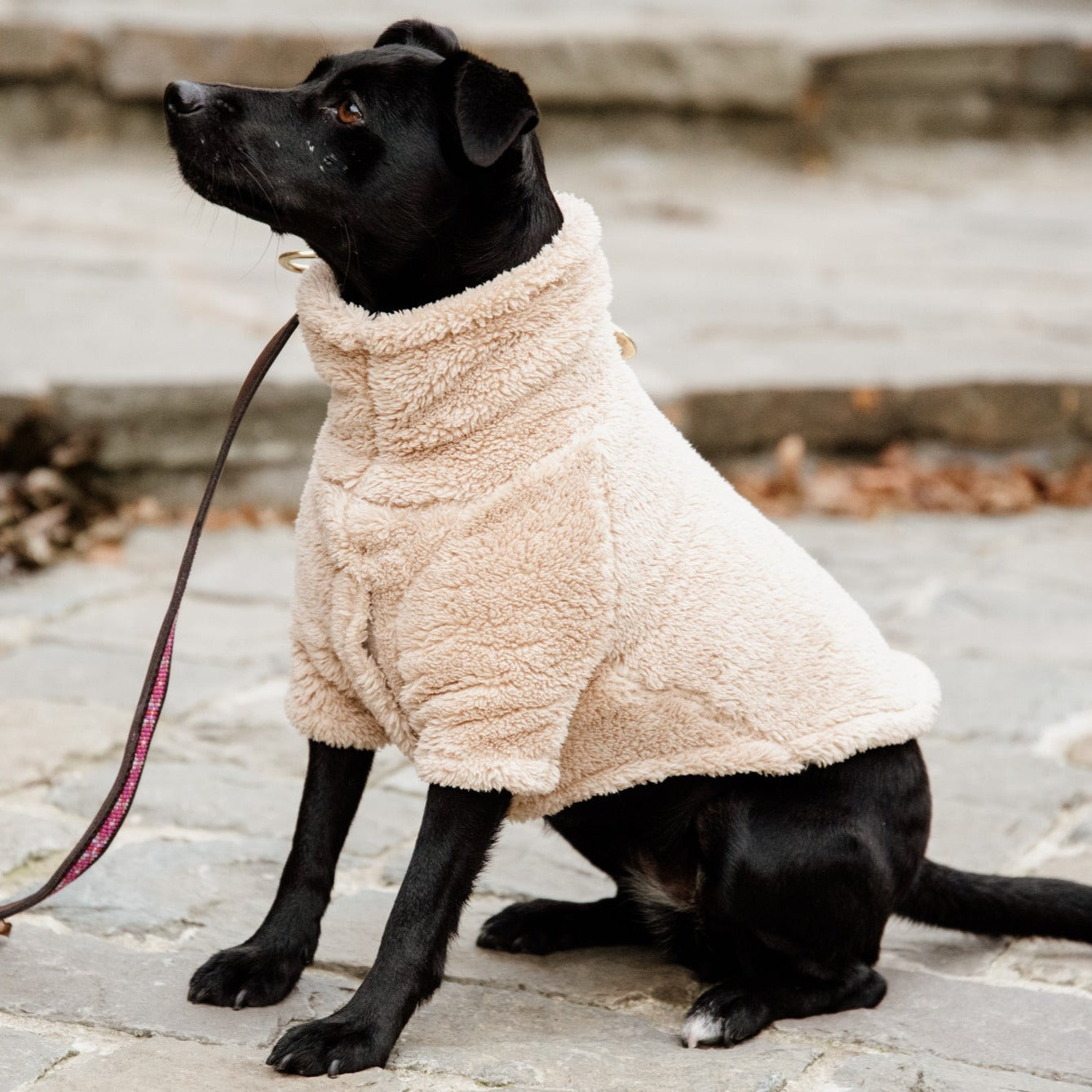 Pull pour chien Teddy Fleece Beige Fabuldog
