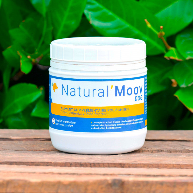 Natural'Moov Dog Natural'Innov locomotion chien