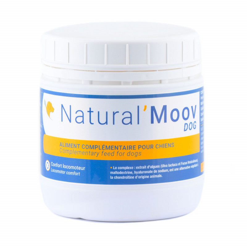 Natural'Moov Dog Natural'Innov locomotion chien