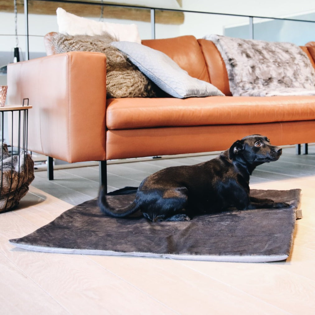 Panier de transport pour chien Kentucky Dogwear