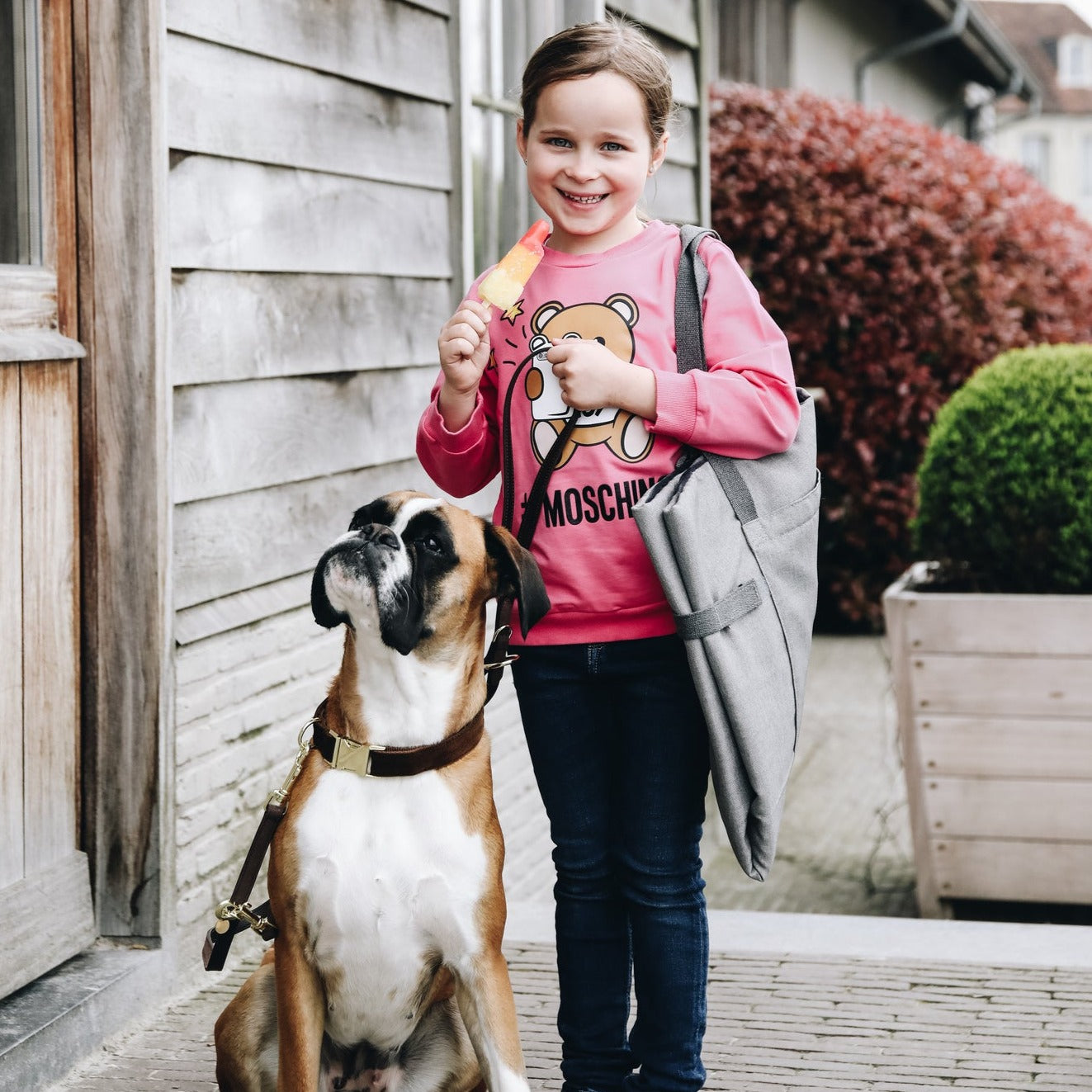 Panier de transport pour chien Kentucky Dogwear