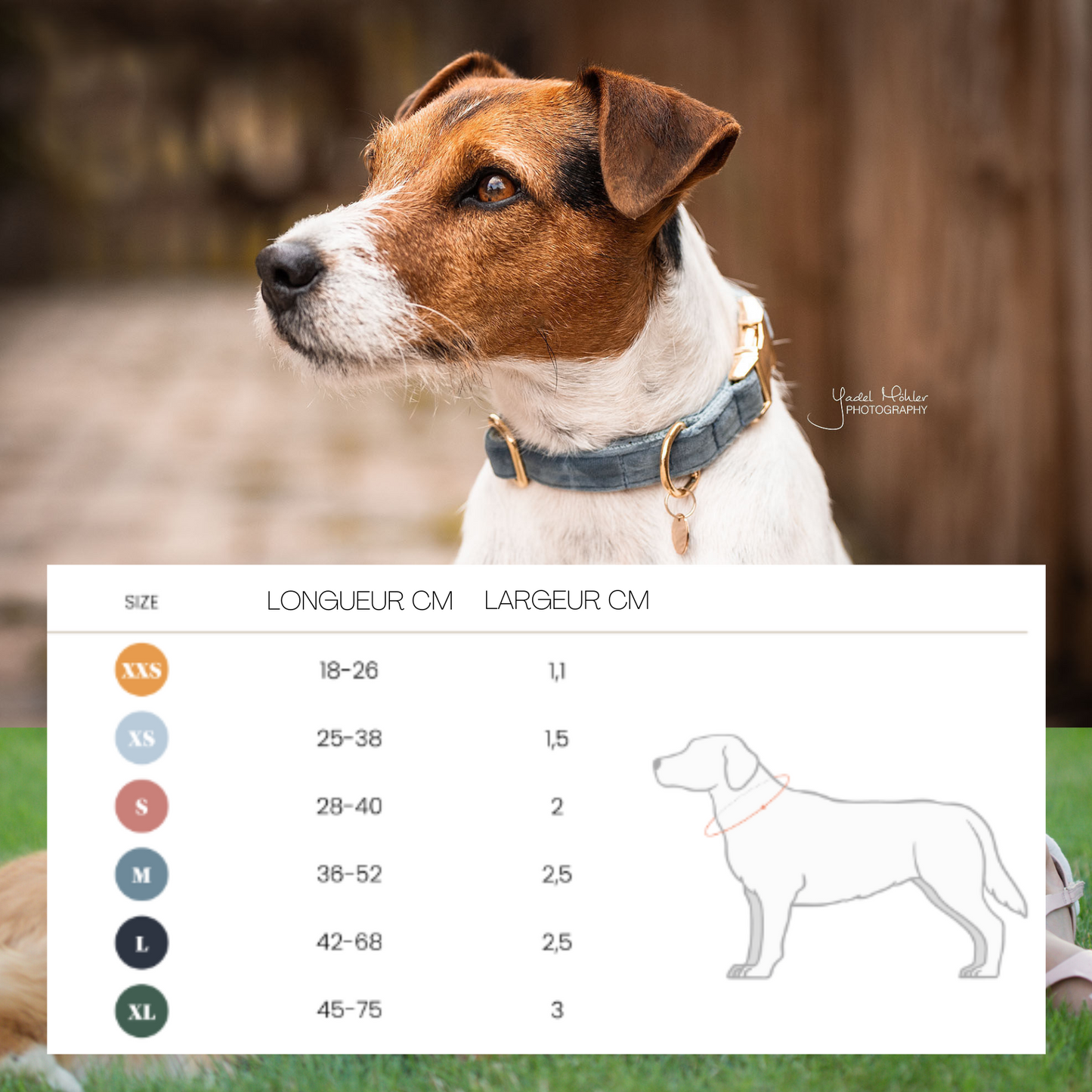 Collier pour chien velours orange