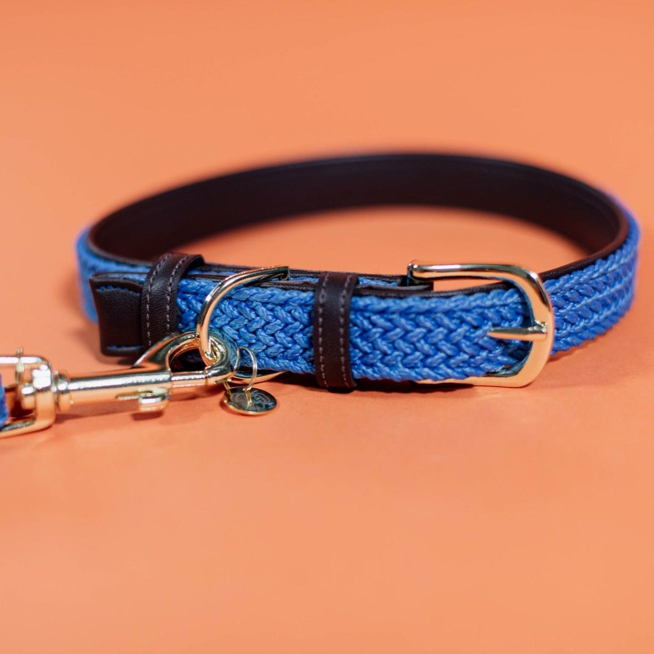 Collier chien  tressé doublé cuir végétal - Bleu clair Fabuldog 