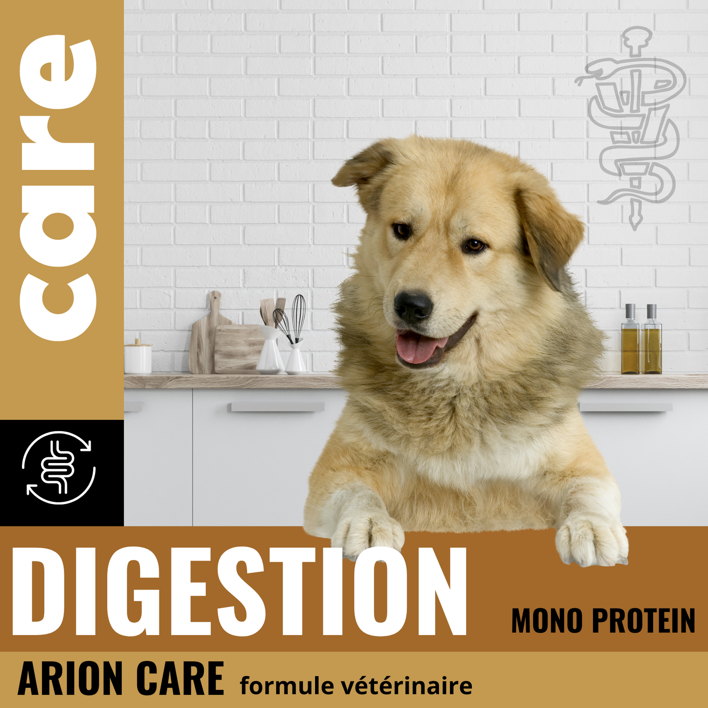 Croquettes chien DIGEST - digestion difficile - ARION CARE - 12kg Fabuldog 