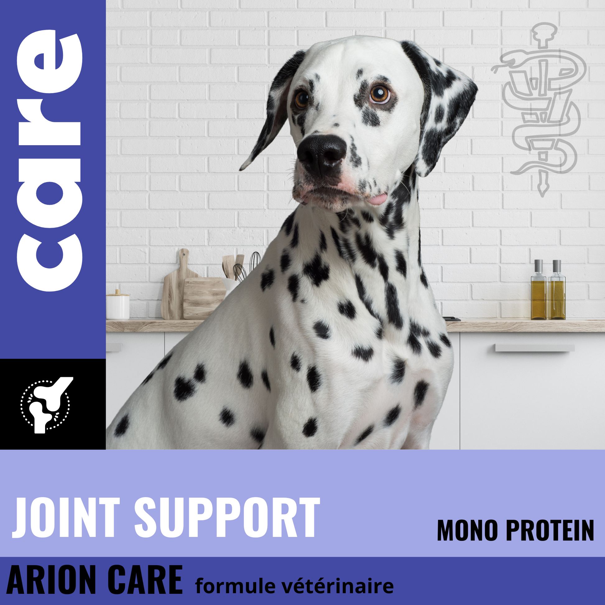 Croquettes chien JOINT - soutien articulation ARION CARE - 2kg Fabuldog 