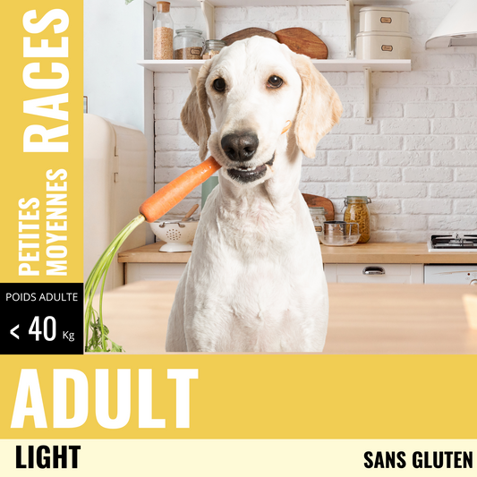 Croquettes chien adulte light - ARION ORIGINAL - 12kg Fabuldog 
