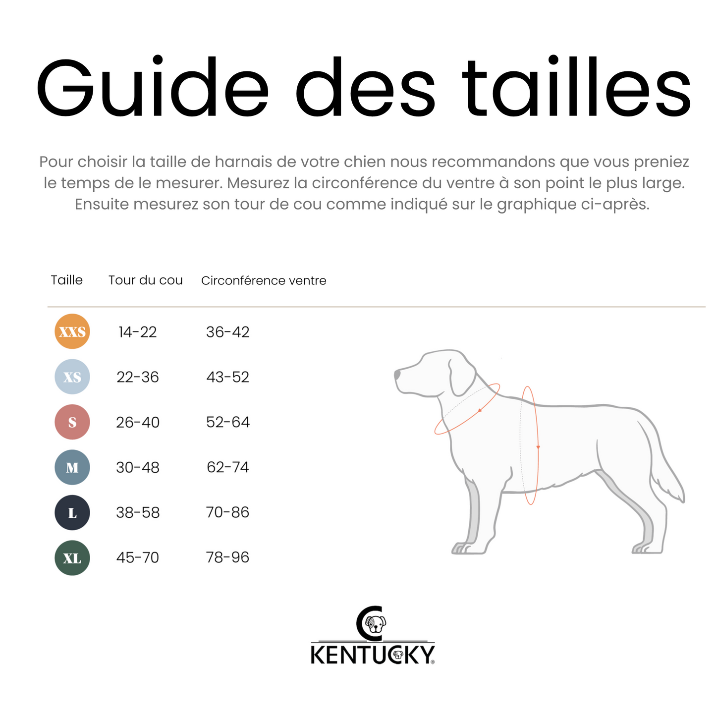 Kentucky Dogwear - Harnais pour chien actif velvet orange