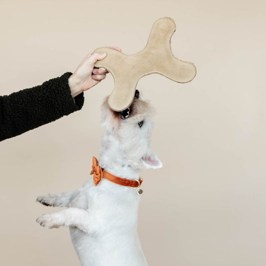 Jouet pour chien os pastel beige Fabuldog 