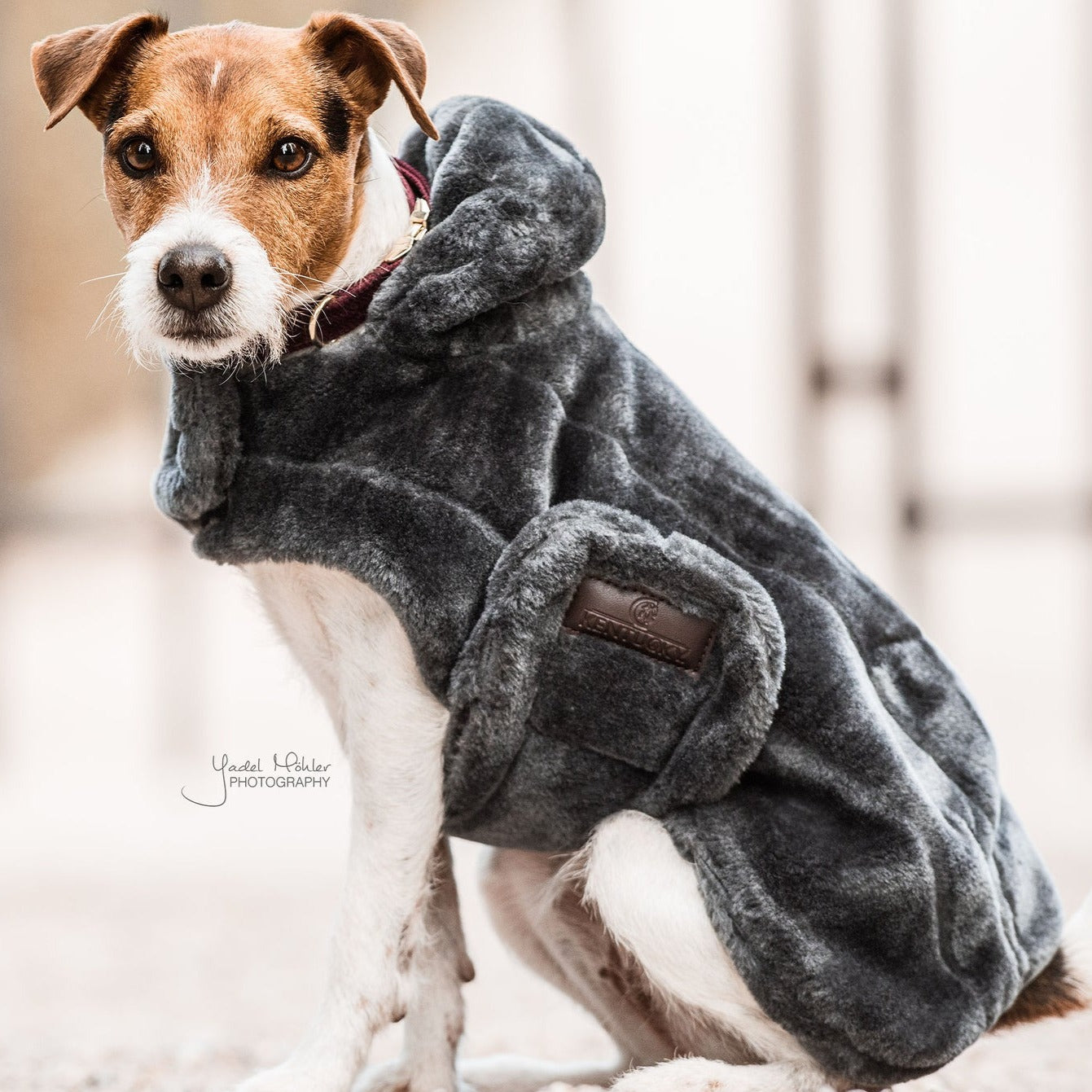 Manteau chien en fausse fourrure