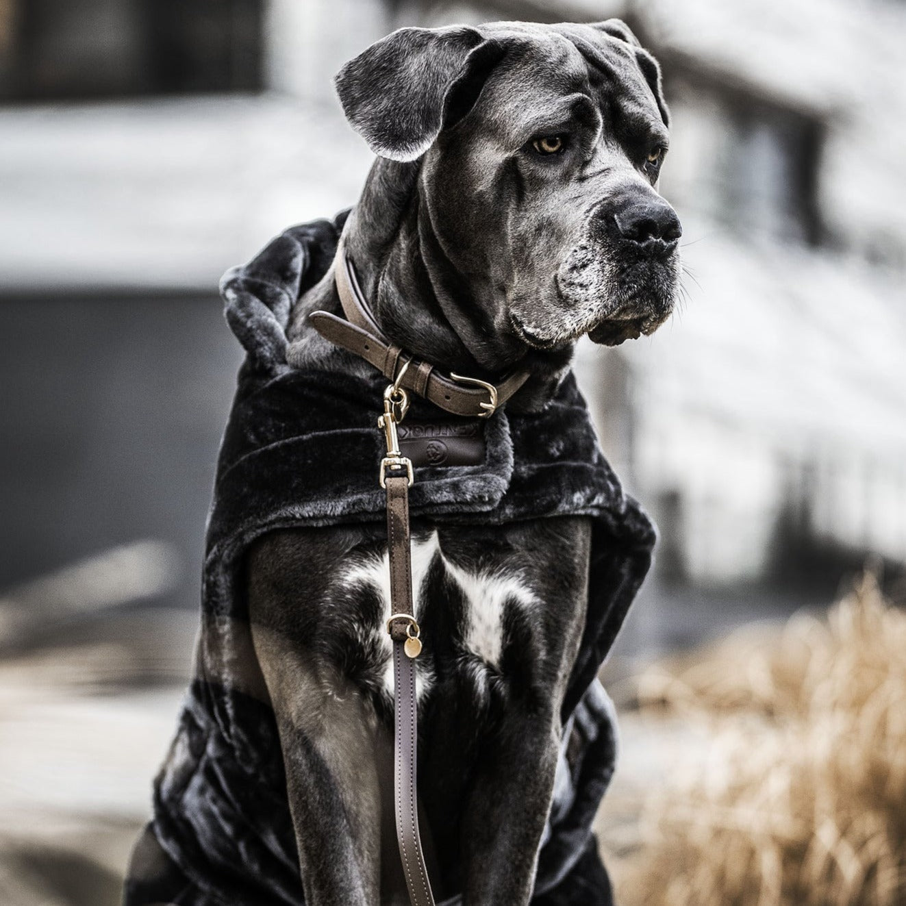 Manteau chien en fausse fourrure Fabuldog 
