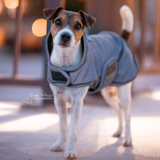 Manteau imperméable chien réflechissant façon trench coat Fabuldog 