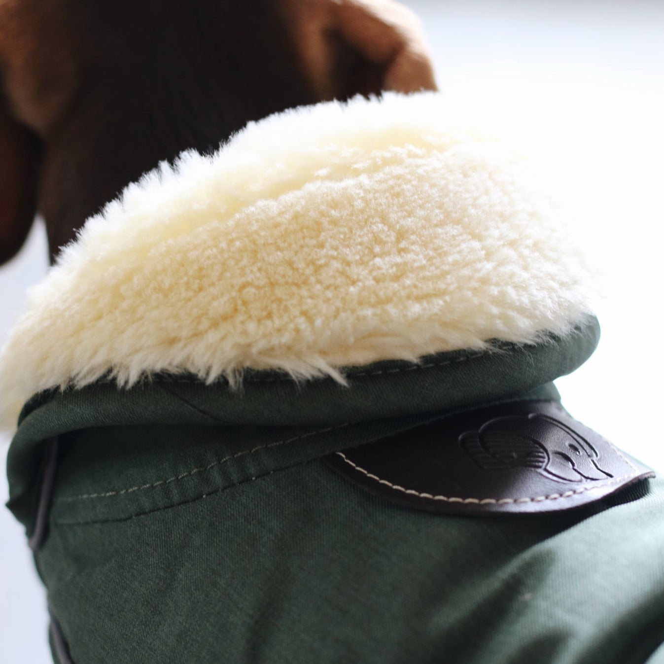 Manteau pour chien imperméable - Look aviateur Fabuldog 