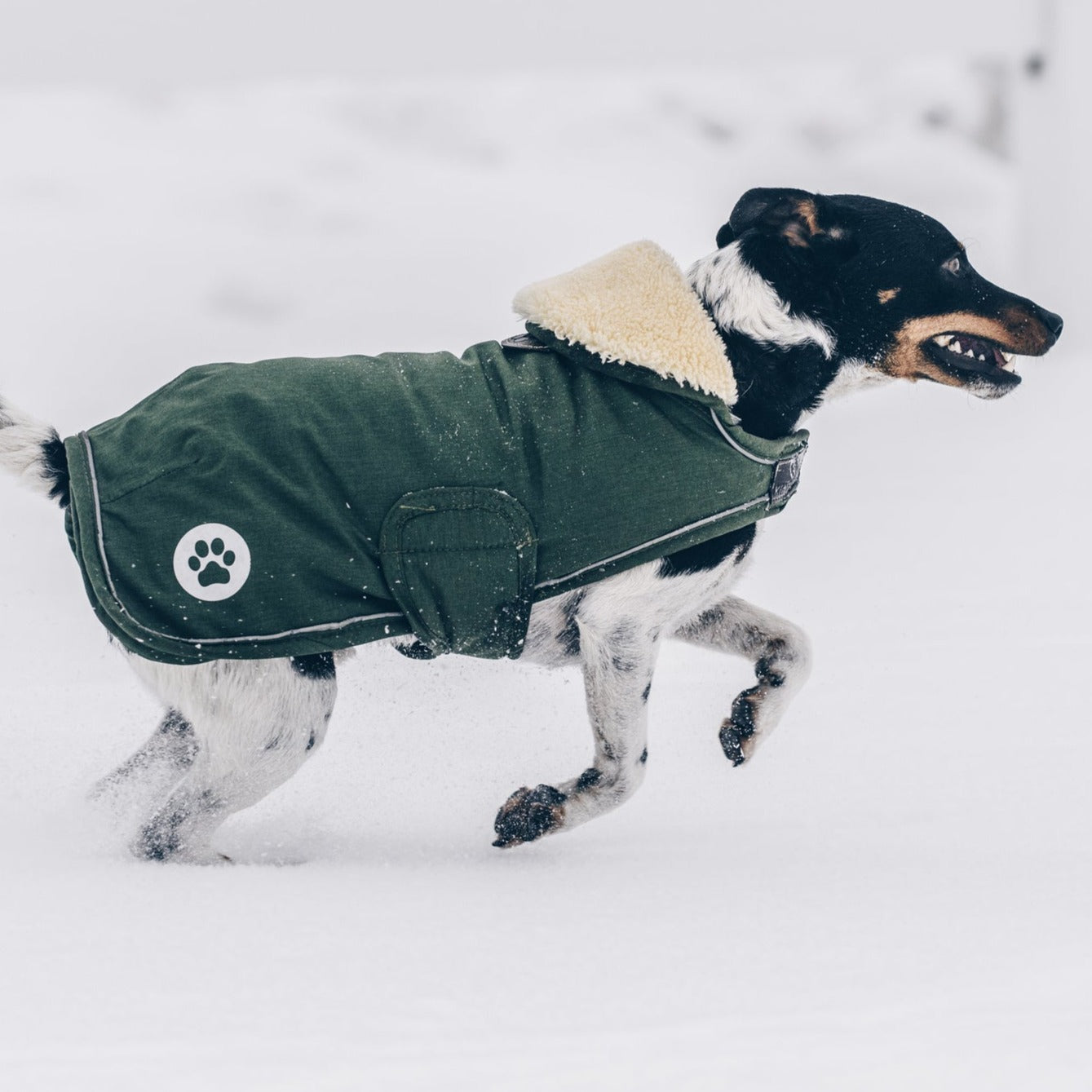 Manteau pour chien imperméable - Look aviateur Fabuldog 