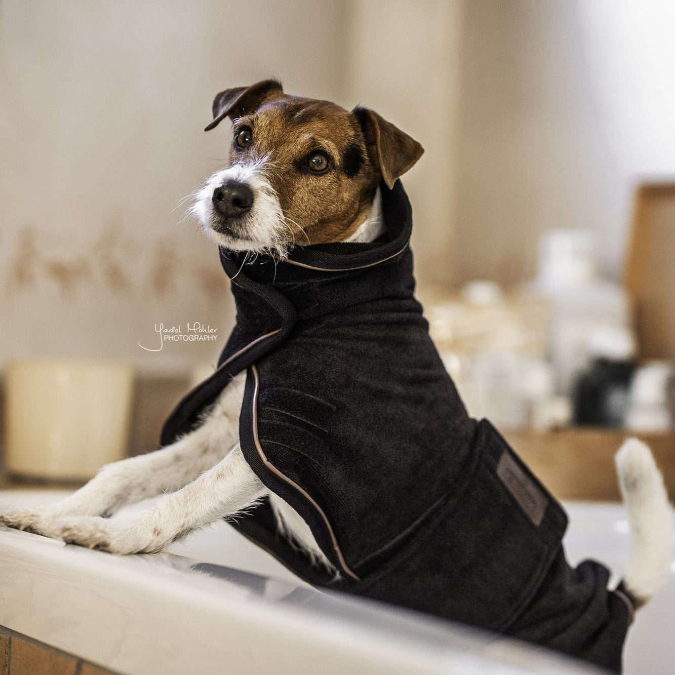 Manteau serviette pour chien Fabuldog 