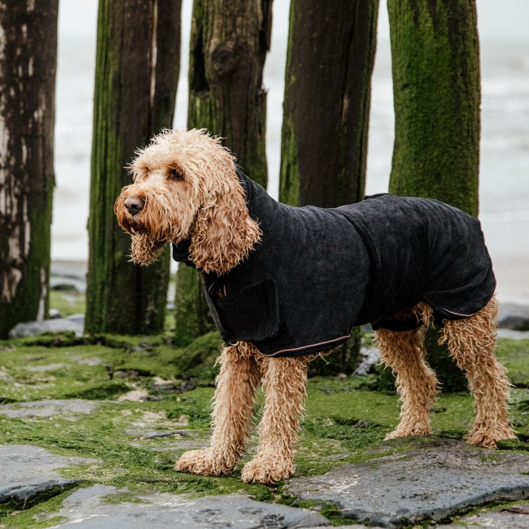 Manteau serviette pour chien Fabuldog 
