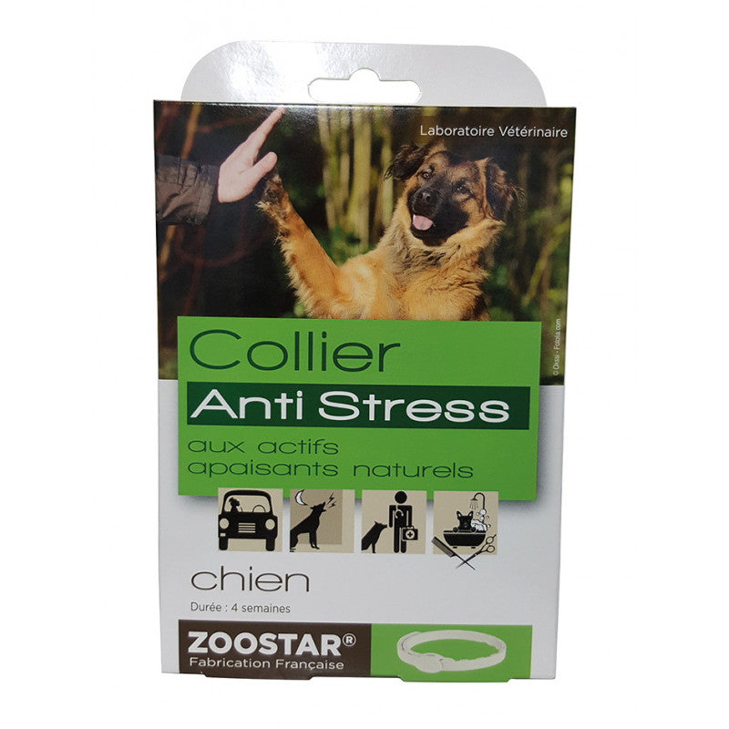 Collier chien anti-stress Zoostar