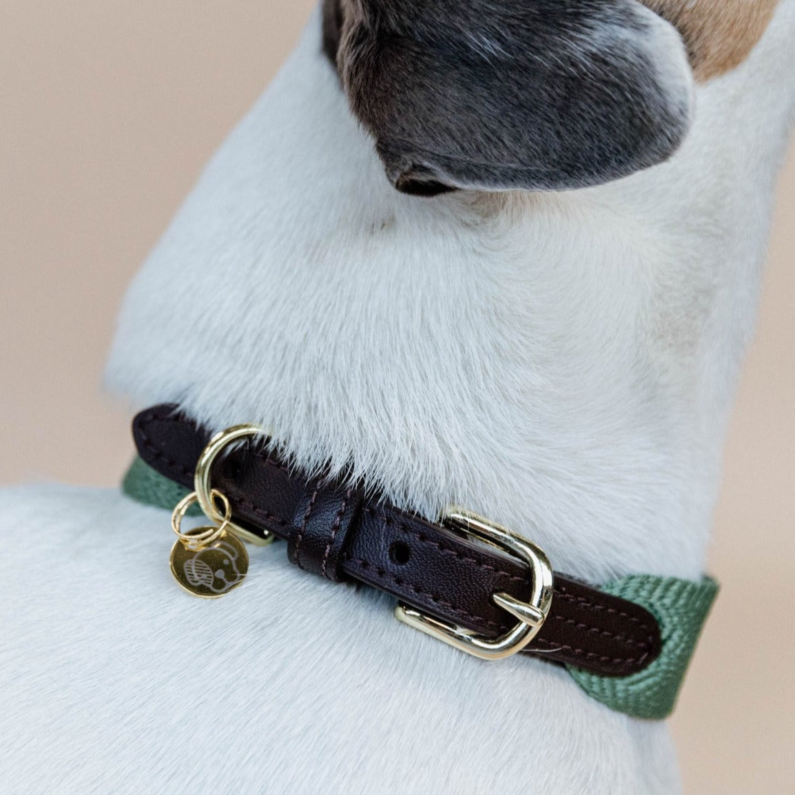 Collier chien large Jaquard Kentucky - vert olive